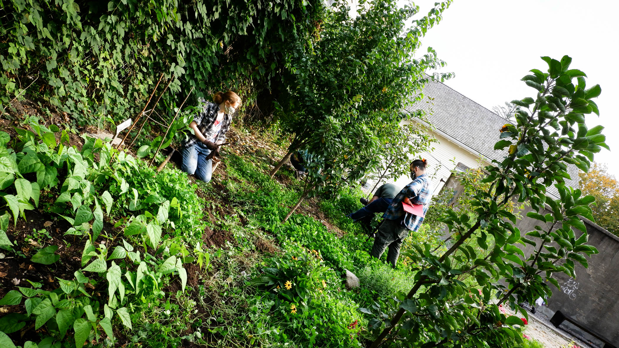 Building Roots Over The Years